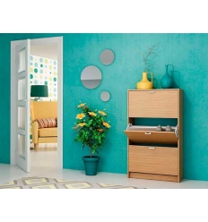Mueble zapatero