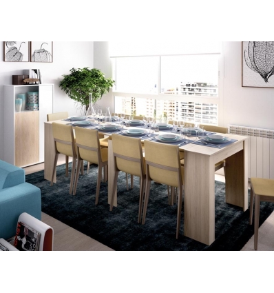 MESA EXTENSIBLE LEXA XL