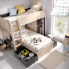 LITERA  TREN MODULAR DUO