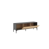 MUEBLE  TV CON PUERTA ABATIBLE JASON