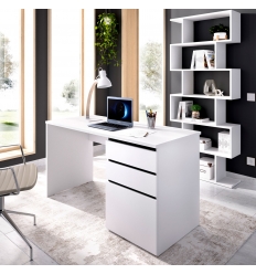 MESA ESCRITORIO CON 2 CAJONES Y PUERTA STILO