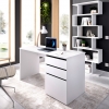 MESA ESCRITORIO CON 2 CAJONES Y PUERTA STILO